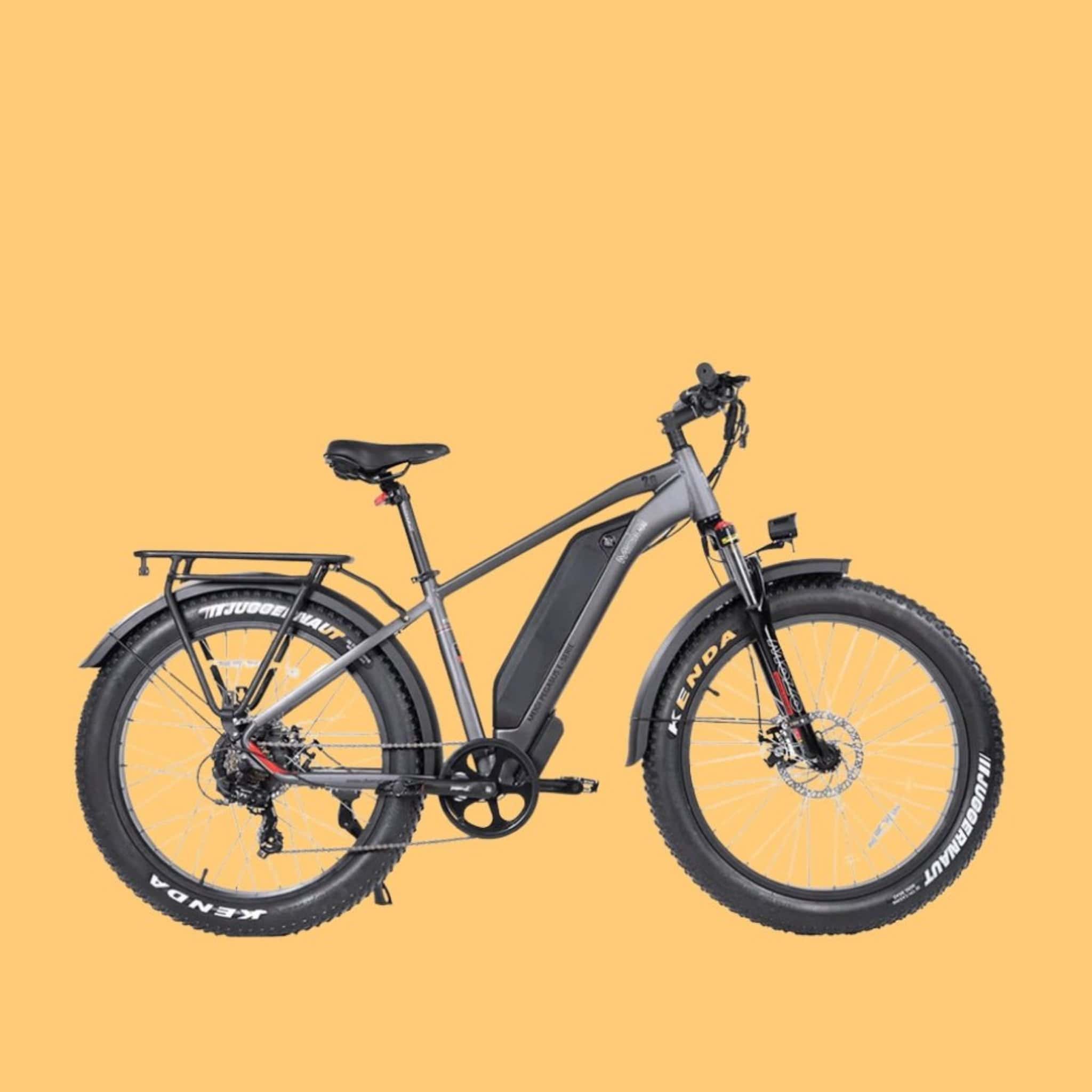 Dwmeigi MG8713 Pegasus 26" 48V/16AH 750W Fat Tire Electric Bike, 280LBS (SAK96845)