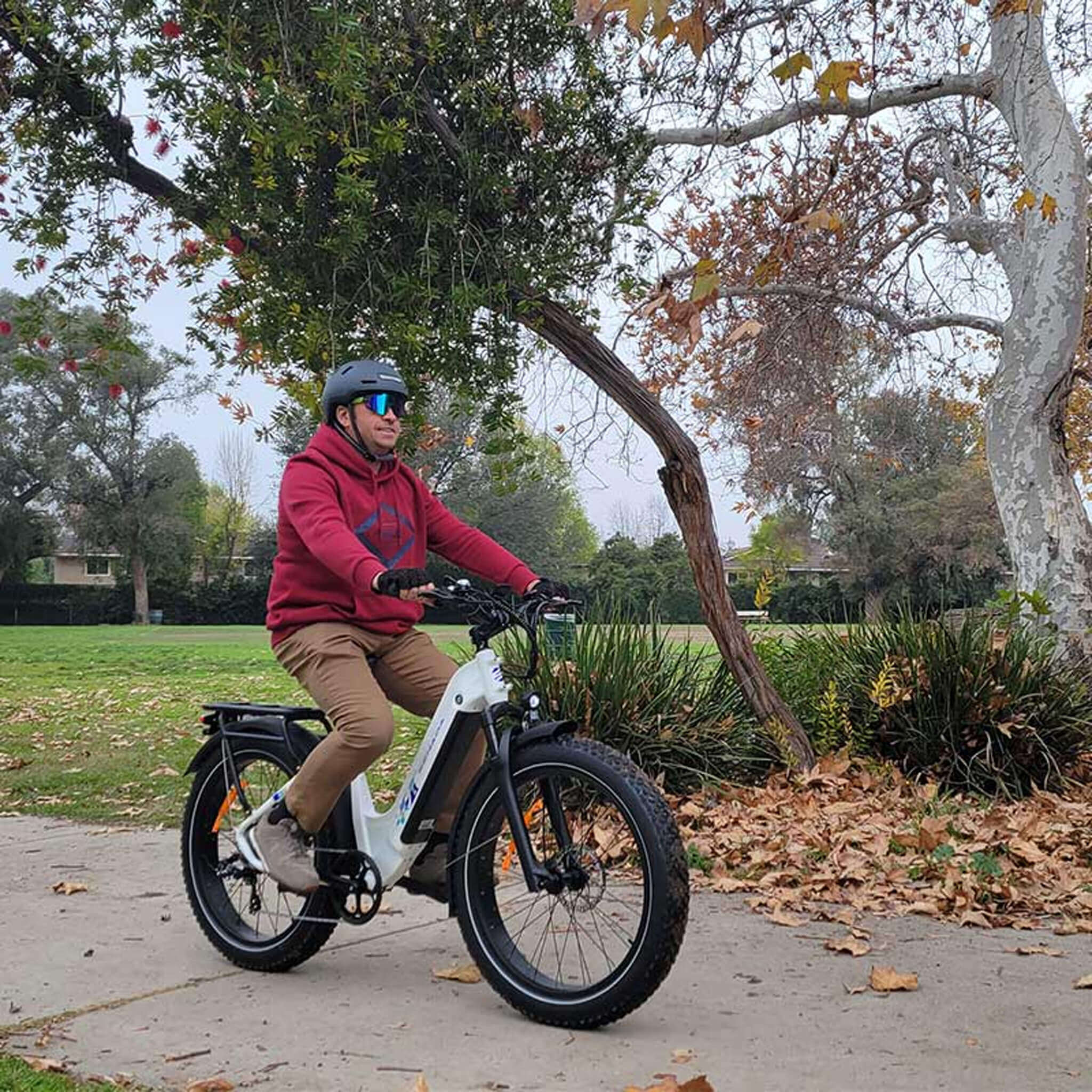 Senada Mayor 48V/20AH 750W Premium Electric All-Terrain Fat Tire Bike, 330LBS (SAK34816)