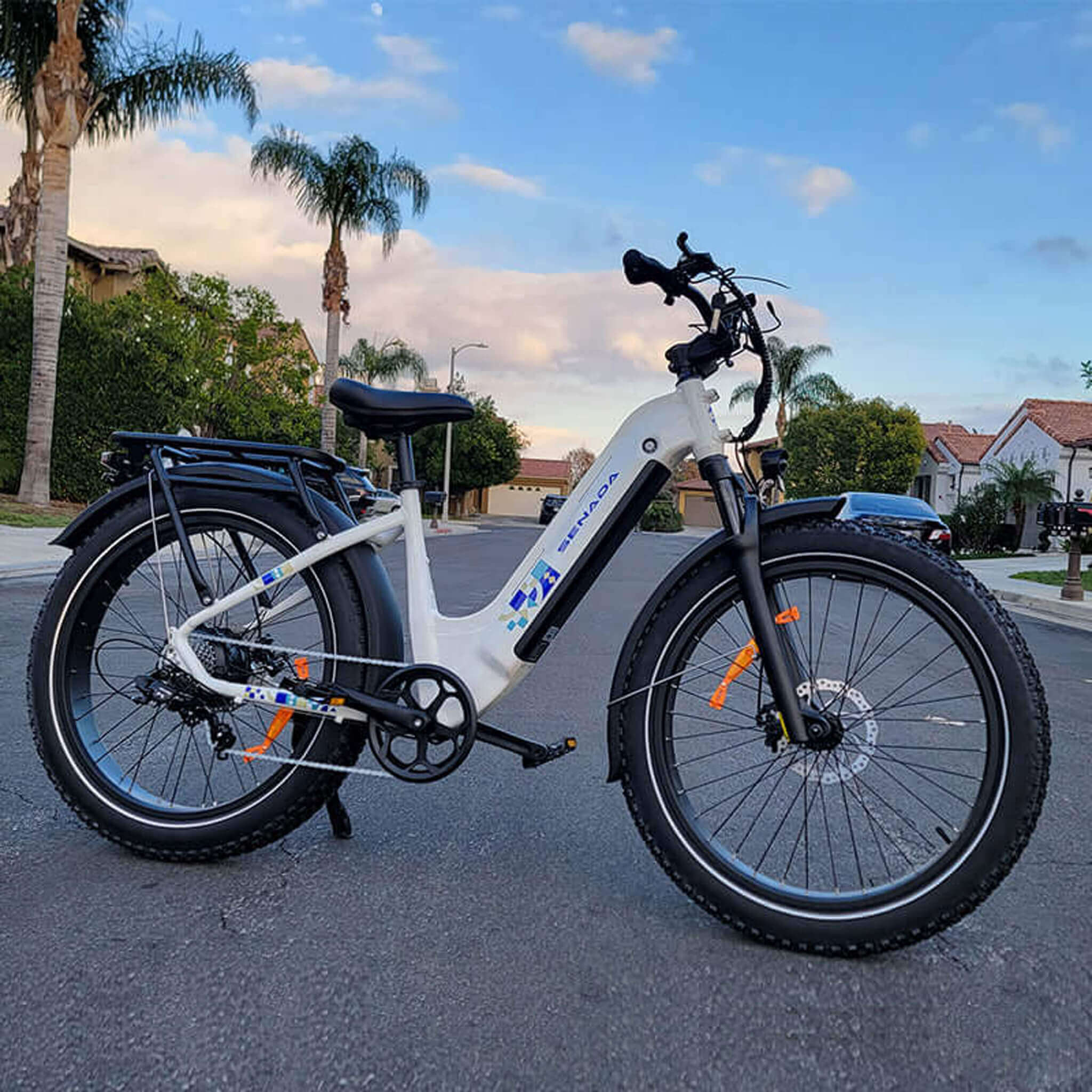 Senada Mayor 48V/20AH 750W Premium Electric All-Terrain Fat Tire Bike, 330LBS (SAK34816)